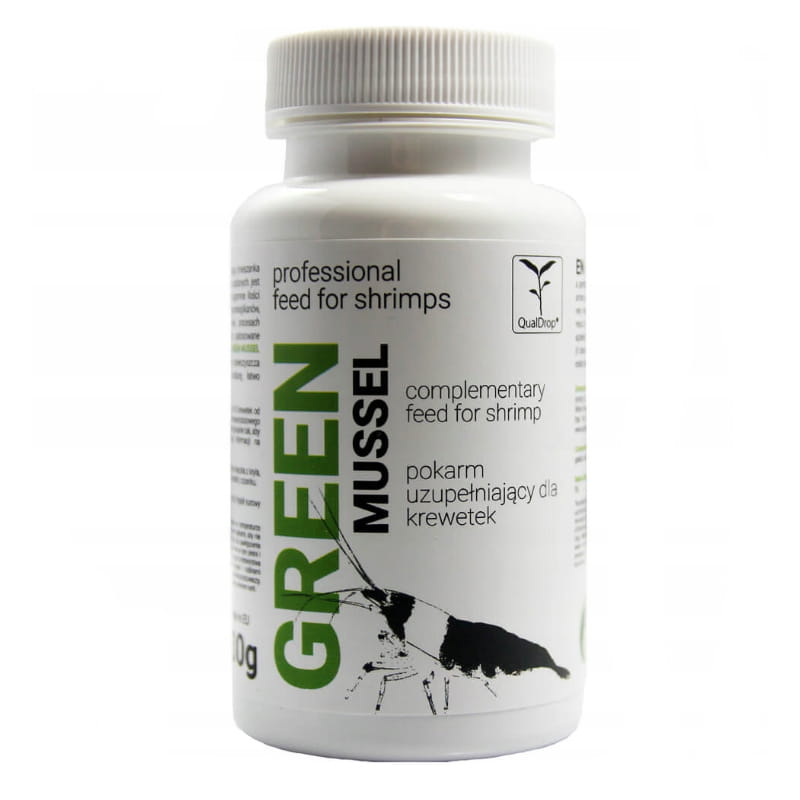 GREEN MUSSEL.JPG